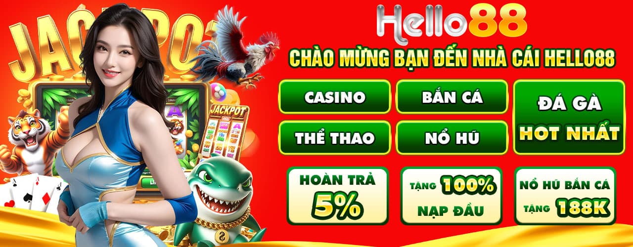 baner-hello88