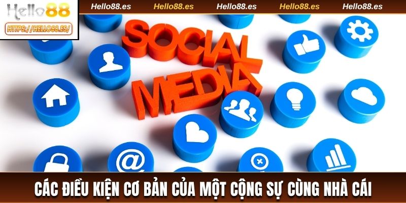 Các điều kiện cơ bản của một cộng sự cùng nhà cái