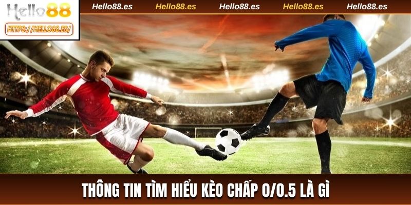 Thông tin tìm hiểu kèo chấp 0/0.5 là gì