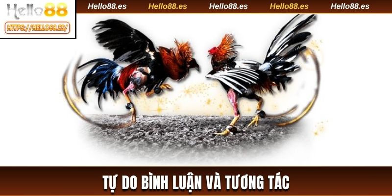 Tự do bình luận và tương tác